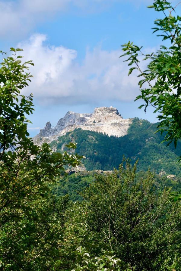 Casa Del Geco - La Natura Intorno A Te Camaiore Extérieur photo