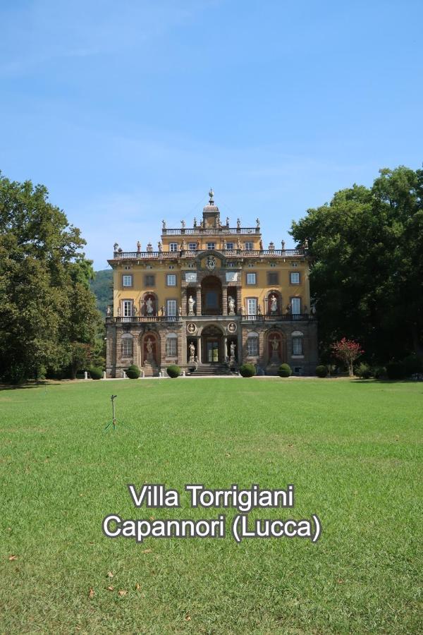 Casa Del Geco - La Natura Intorno A Te Camaiore Extérieur photo